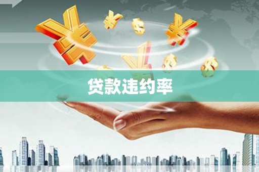 褒忠贷款违约率