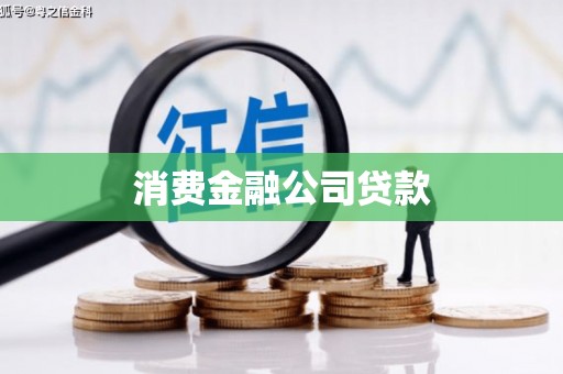 褒忠消费金融公司贷款