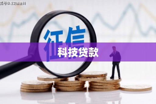 褒忠科技贷款