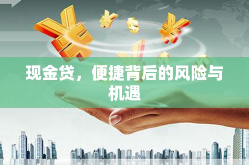 褒忠现金贷，便捷背后的风险与机遇