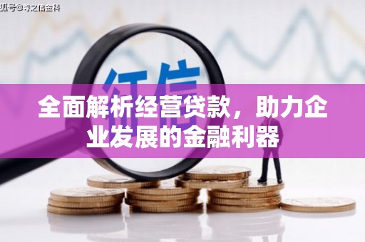 褒忠全面解析经营贷款，助力企业发展的金融利器