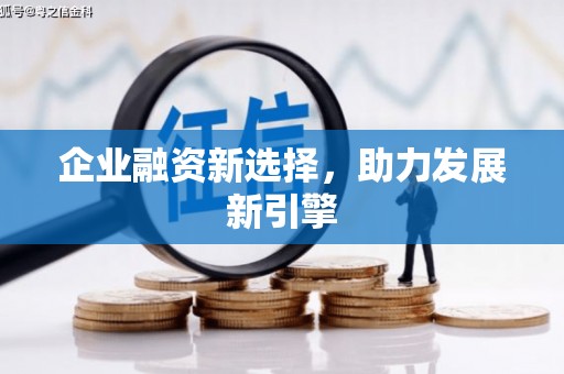 褒忠企业融资新选择，助力发展新引擎