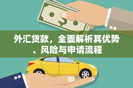 褒忠外汇贷款，全面解析其优势、风险与申请流程