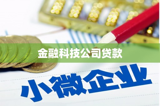 褒忠金融科技公司贷款