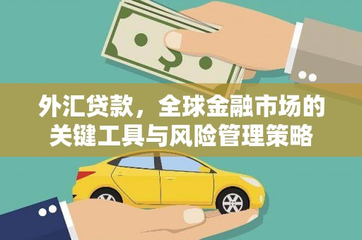 褒忠外汇贷款，全球金融市场的关键工具与风险管理策略