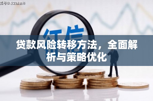 褒忠贷款风险转移方法，全面解析与策略优化