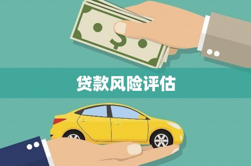 褒忠贷款风险评估