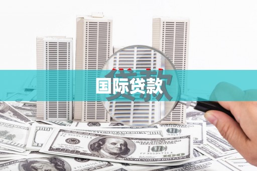褒忠国际贷款