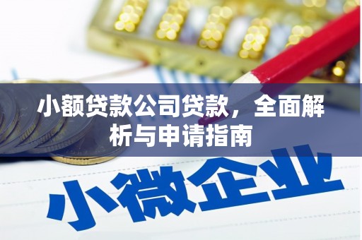 褒忠小额贷款公司贷款，全面解析与申请指南