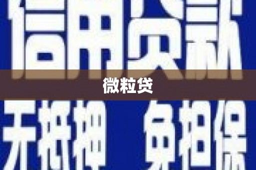 褒忠微粒贷