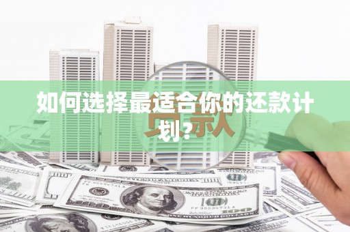褒忠如何选择最适合你的还款计划？