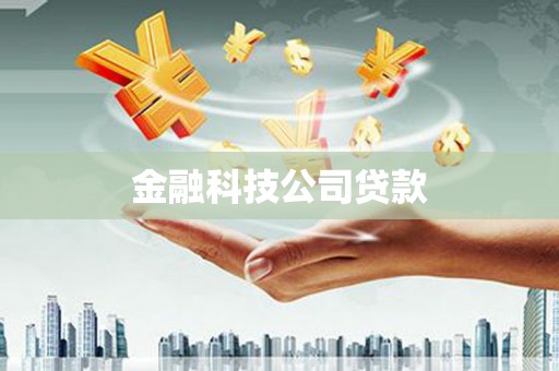褒忠金融科技公司贷款