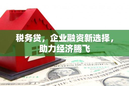 褒忠税务贷，企业融资新选择，助力经济腾飞