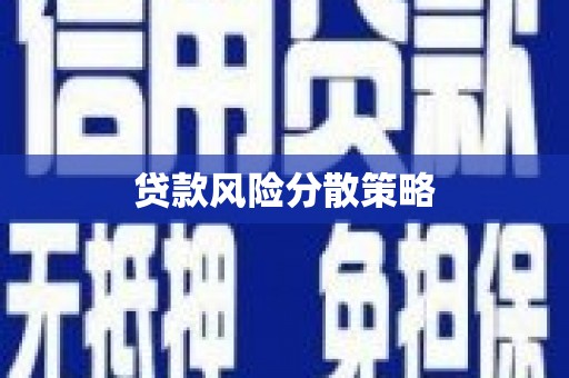 褒忠贷款风险分散策略