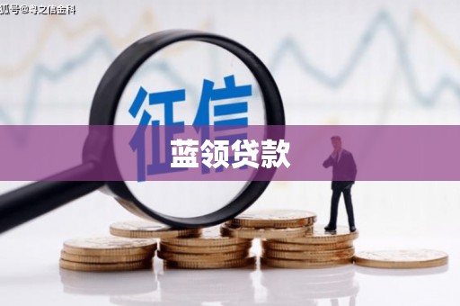 褒忠蓝领贷款