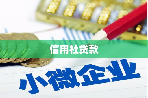褒忠信用社贷款