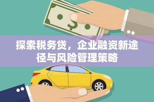 褒忠探索税务贷，企业融资新途径与风险管理策略