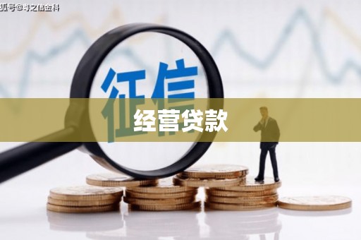 褒忠经营贷款