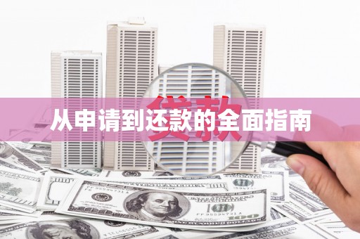 褒忠从申请到还款的全面指南