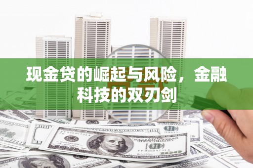 褒忠现金贷的崛起与风险，金融科技的双刃剑