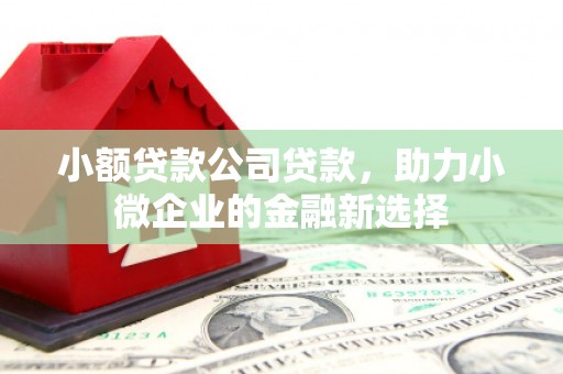 褒忠小额贷款公司贷款，助力小微企业的金融新选择