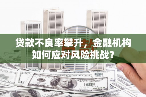 褒忠贷款不良率攀升，金融机构如何应对风险挑战？