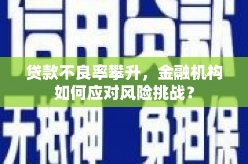 褒忠贷款不良率攀升，金融机构如何应对风险挑战？
