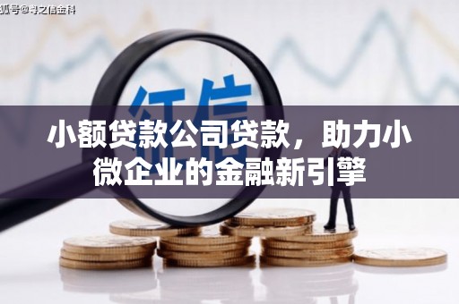 褒忠小额贷款公司贷款，助力小微企业的金融新引擎