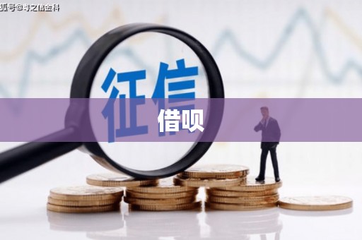 褒忠借呗