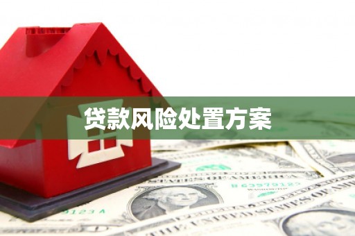 褒忠贷款风险处置方案