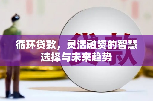 褒忠循环贷款，灵活融资的智慧选择与未来趋势