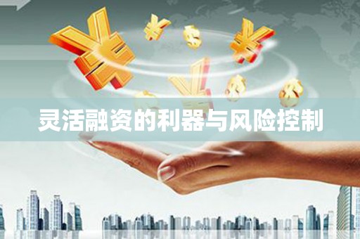褒忠灵活融资的利器与风险控制