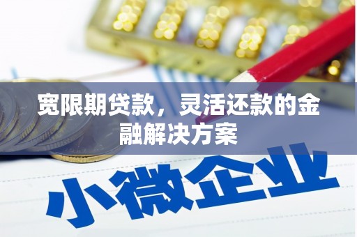 褒忠宽限期贷款，灵活还款的金融解决方案