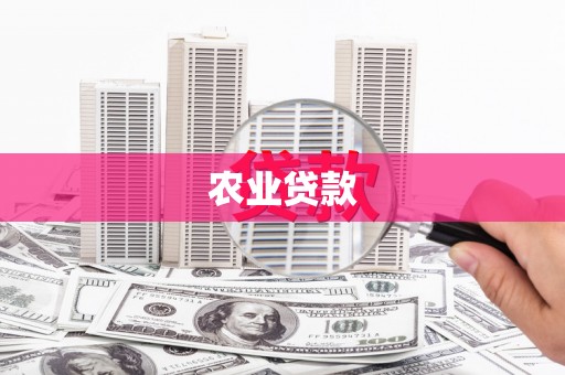 褒忠农业贷款