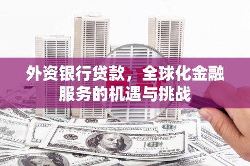 褒忠外资银行贷款，全球化金融服务的机遇与挑战