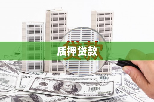 褒忠质押贷款