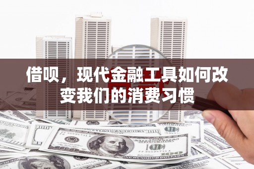 褒忠借呗，现代金融工具如何改变我们的消费习惯