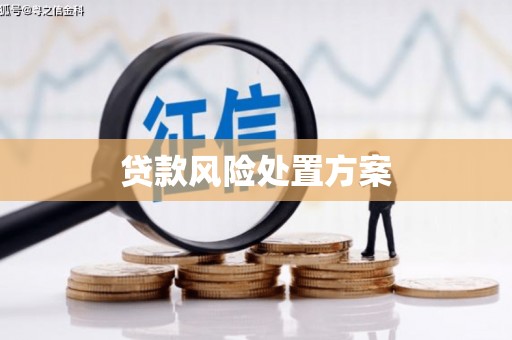 褒忠贷款风险处置方案