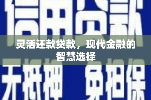 褒忠灵活还款贷款，现代金融的智慧选择