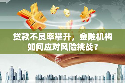 褒忠贷款不良率攀升，金融机构如何应对风险挑战？
