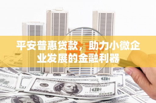 褒忠平安普惠贷款，助力小微企业发展的金融利器