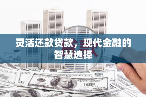 褒忠灵活还款贷款，现代金融的智慧选择