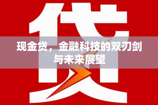 褒忠现金贷，金融科技的双刃剑与未来展望