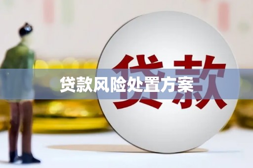 褒忠贷款风险处置方案
