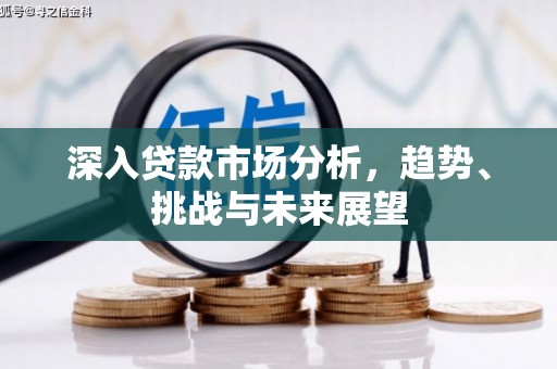 褒忠深入贷款市场分析，趋势、挑战与未来展望