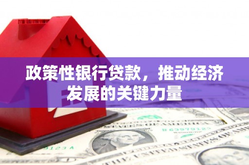 褒忠政策性银行贷款，推动经济发展的关键力量