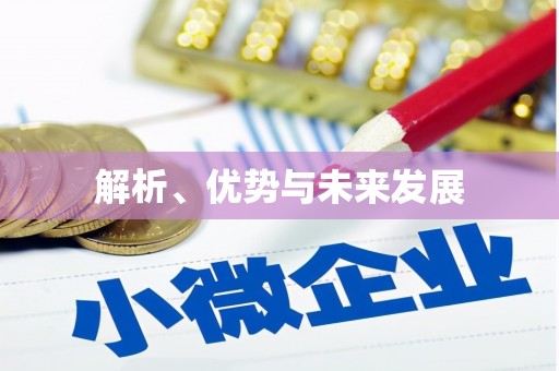 褒忠解析、优势与未来发展