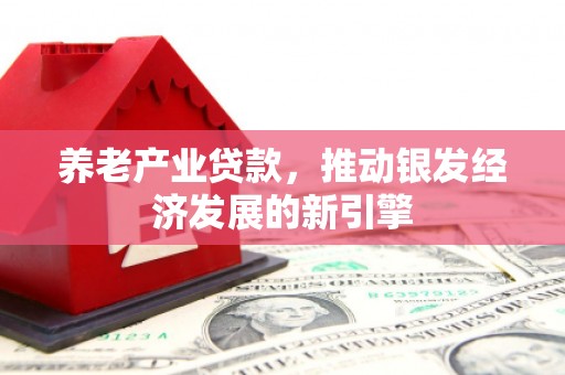 褒忠养老产业贷款，推动银发经济发展的新引擎
