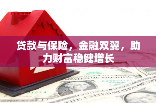 褒忠贷款与保险，金融双翼，助力财富稳健增长