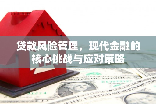 褒忠贷款风险管理，现代金融的核心挑战与应对策略